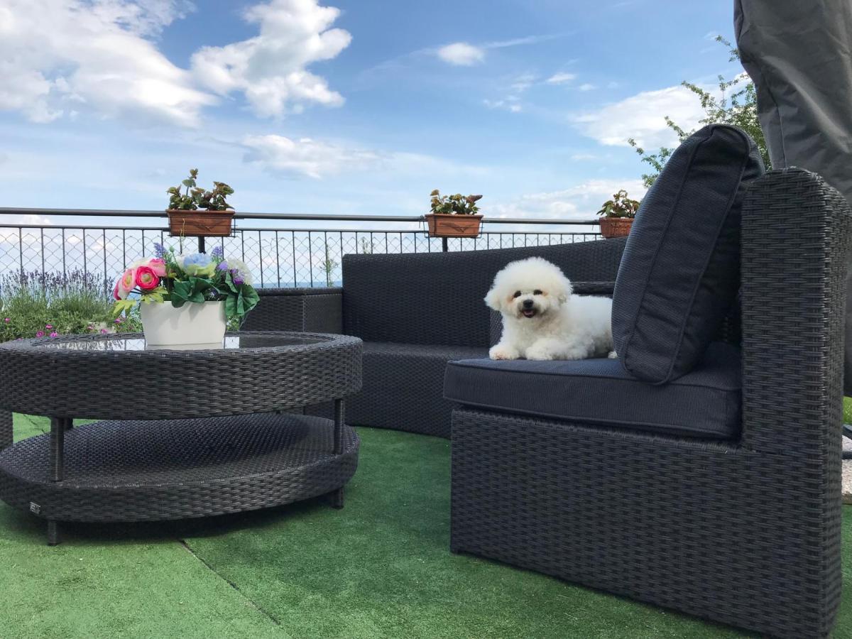 Apartman Nicole Mošćenička Draga Exterior foto